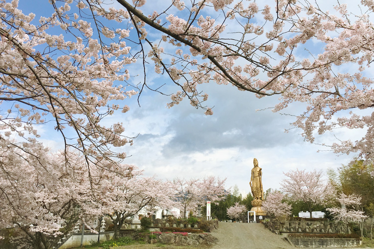 護法山正雲寺 会津本山 正雲寺は誰もが気持ちよく集える「みんなのお寺」です。