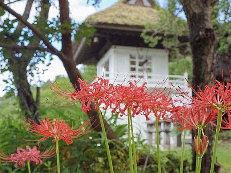 護法山正雲寺 会津本山 正雲寺は誰もが気持ちよく集える「みんなのお寺」です。 故人を供養する