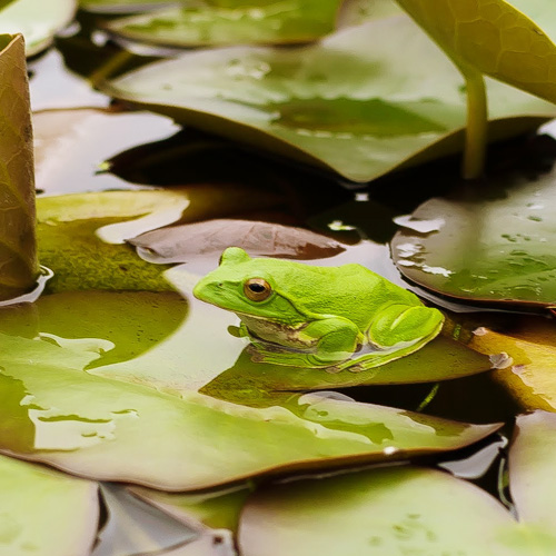 護法山正雲寺 会津本山 正雲寺は誰もが気持ちよく集える「みんなのお寺」です。 悩みを相談する