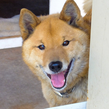 DSCF8163 (2016_06_12 10_01_37 UTC).jpg