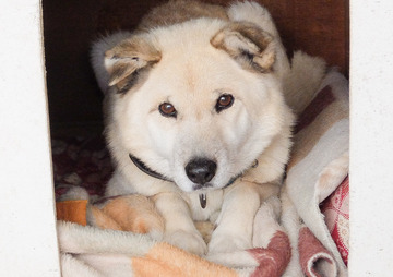 DSCF9751 (2016_12_22 14_41_25 UTC).jpg