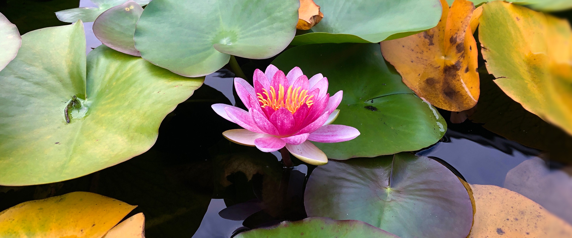 護法山正雲寺 会津本山 正雲寺は誰もが気持ちよく集える「みんなのお寺」です。 故人を供養する